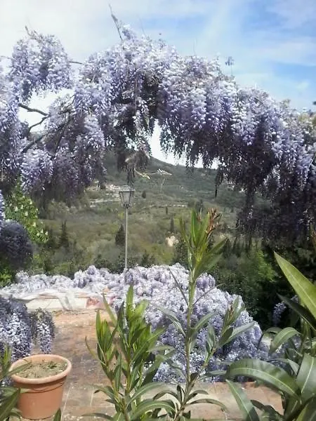 Villa Il Bosco Fiesole 0*,